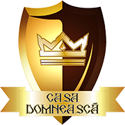 CASA DOMNEASCA CURTEA DE ARGES