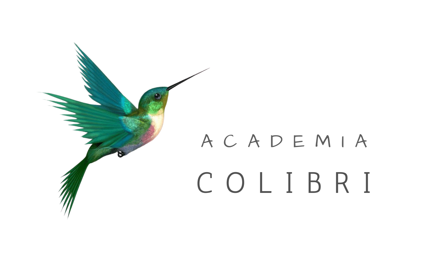 COLIBRI CURSURI