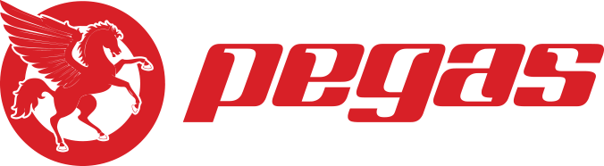 www.bicicletapegas.ro