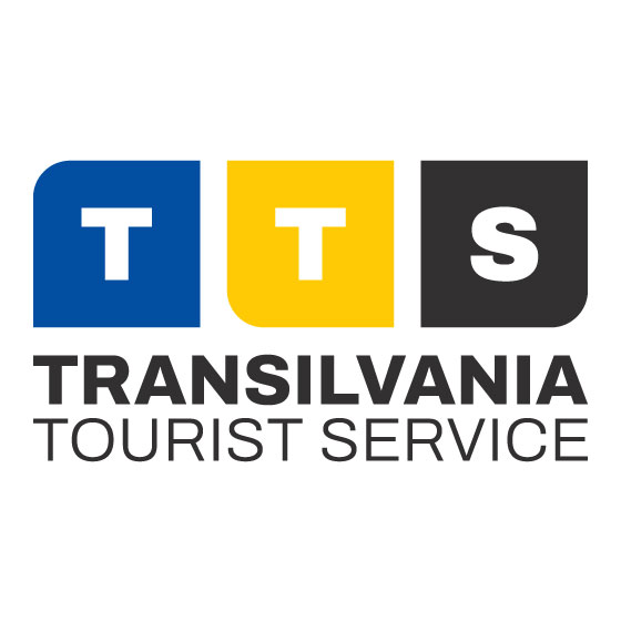 TTS