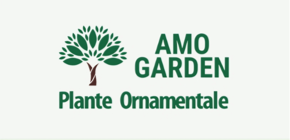 Amo Garden - Plante Ornamentale
