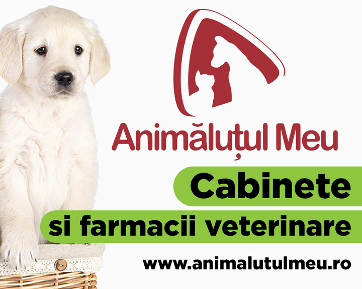 ANIMALUTUL MEU