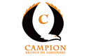 CAMPION BROKER DE ASIGURARE