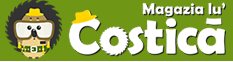 WWW.MAGAZIALUCOSTICA.RO