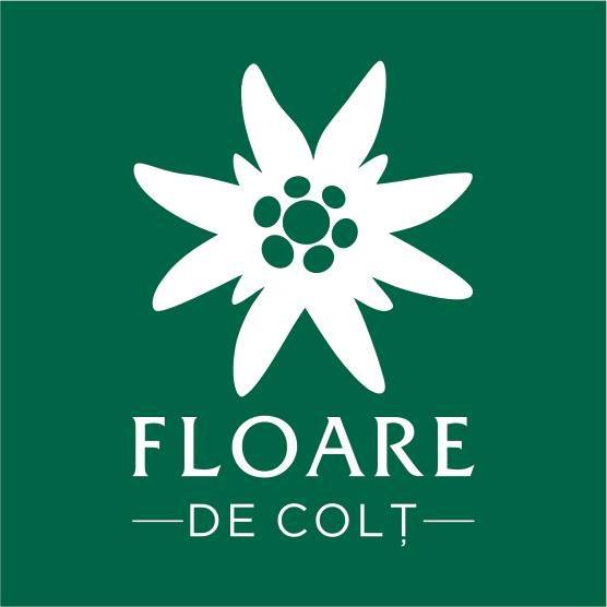 FLOARE DE COLT