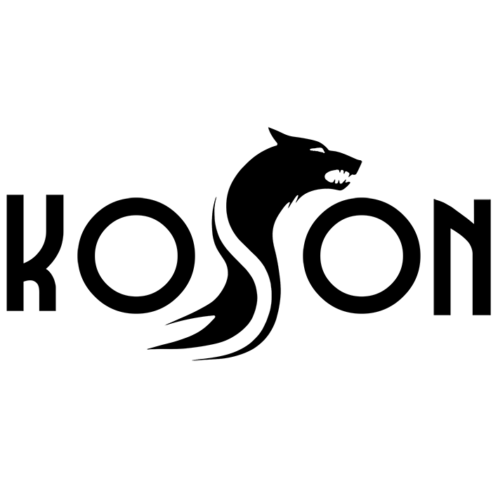 www.koson.ro