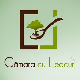 Camara cu Leacuri
