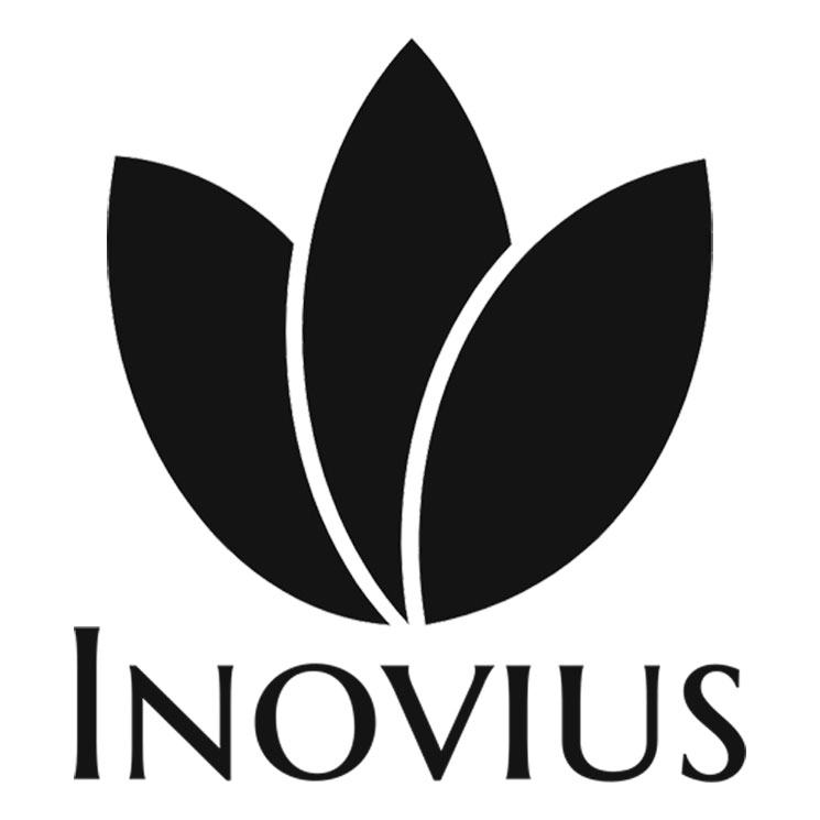 www.inovius.ro