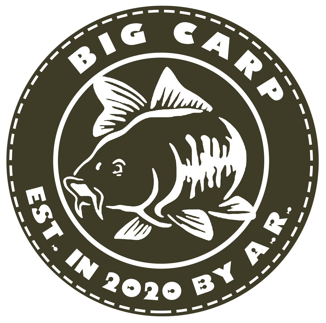 www.bigcarp.ro