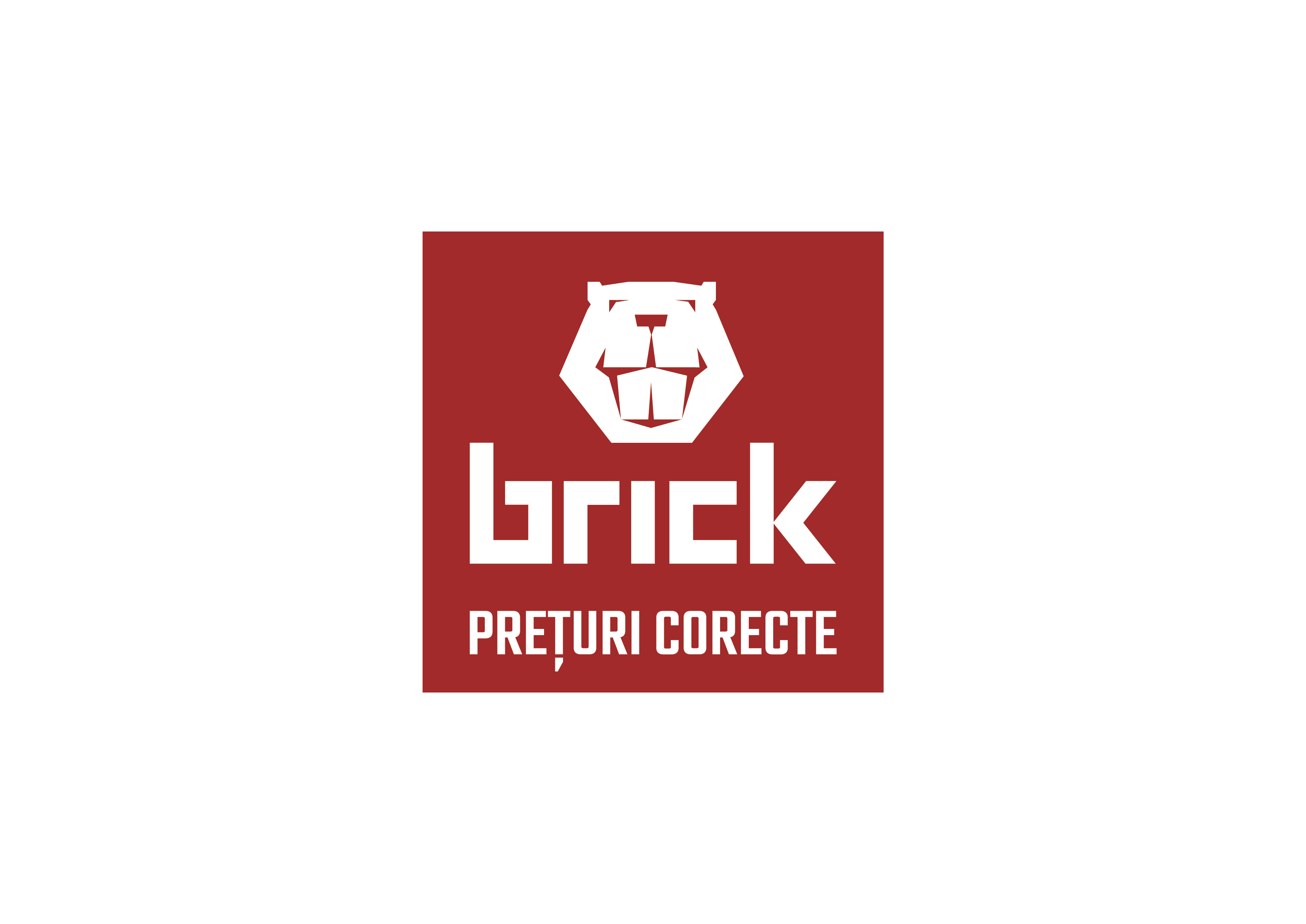 www.brick-romania.ro