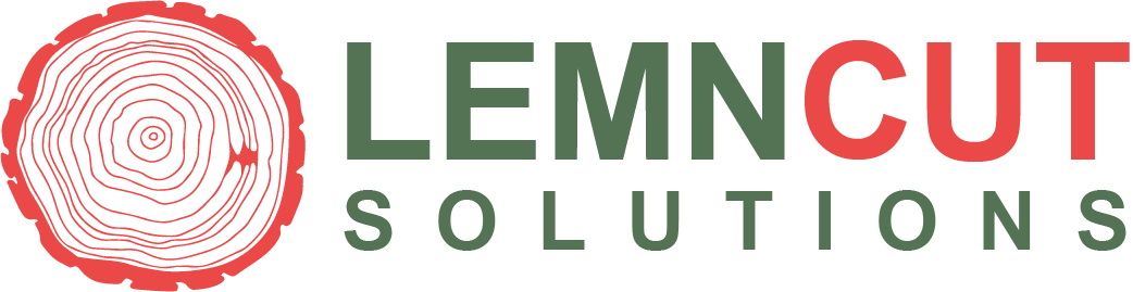 www.lemncut.ro