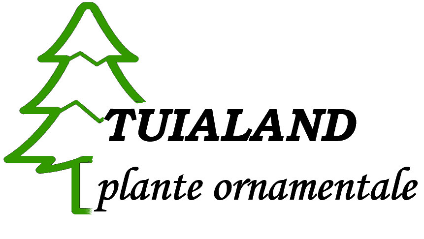 TUIALAND
